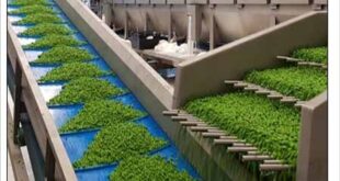 industry pvc conveyor